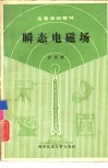 瞬态电磁场 封面