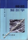 神经解剖学 封面