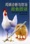 鸡病诊断与防治原色图谱 封面