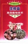 茶薪菇高效栽培技术 封面