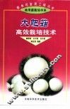 大肥菇高效栽培技术 封面