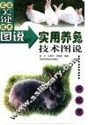 实用养兔技术图说 封面