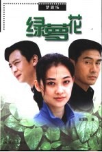 绿萝花 封面