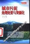 城市污泥处理处置与资源化 封面