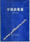 中国的真菌 封面