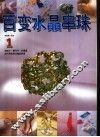 百变水晶串珠 封面