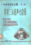 实时二维超声心动图 封面
