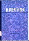 肿瘤组织学图谱 封面