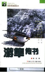 游隼传书 封面