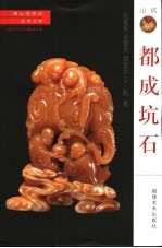 名贵石种  都成坑石 封面