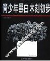 青少年黑白木刻初步 封面