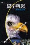 空中精灵  奇异鸟王国 封面