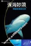深海妙境  神秘的海底生灵 封面