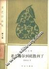 老麦梅尔到底胜利了 封面