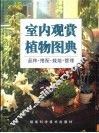 室内观赏植物图典  品种·搭配·栽培·管理 封面