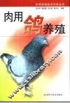 肉用鸽养殖 封面