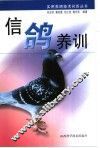 信鸽养训 封面