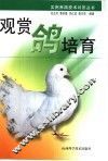 观赏鸽培育 封面