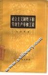 社会主义制度下的劳动生产率和工资 封面