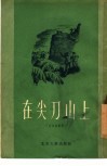 在尖刀山上 封面