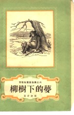 柳树下的梦 封面