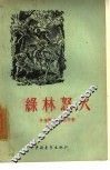 绿林怒火 电子书封面