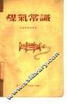 煤气常识 封面