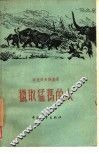 猎取猛犸的人 封面