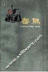 春鸟 封面
