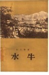 水牛 封面