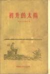 初升的太阳  一个少年艺术家的故事 封面