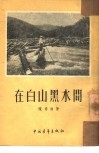 在白山黑水间 封面