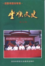 丰顺文史  第9辑  迎香港回归专辑 封面