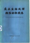 废水生物处理微型动物图志 封面