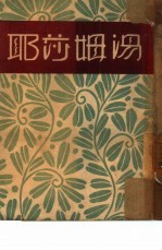 汤姆莎耶 封面
