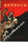 砸碎铁锁举红旗 封面