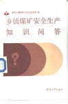 乡镇煤矿安全生产知识问答 封面
