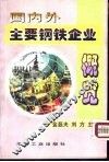 国内外主要钢铁企业概览 封面