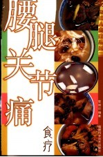 腰腿关节痛食疗 封面
