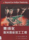 集成化激光智能加工工程 封面