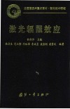 激光辐照效应 封面