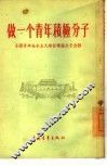 做一个青年积极分子  全国青年社会主义建设积极分子介绍 封面