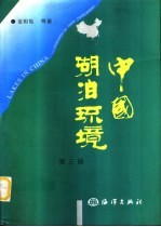 中国湖泊环境  第3册 封面