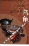 养乌龟 封面
