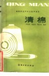 清棉 封面