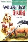 猪病诊断与防治原色图谱 封面