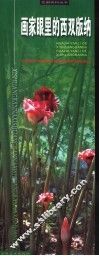 画家眼里的西双版纳 封面