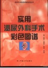 实用泌尿外科手术彩色图谱 封面
