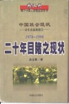 二十年目睹之现状  中国社会现状：朵生春最新报告  1978-1998 封面