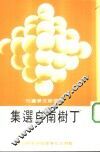 丁树南自选集 封面